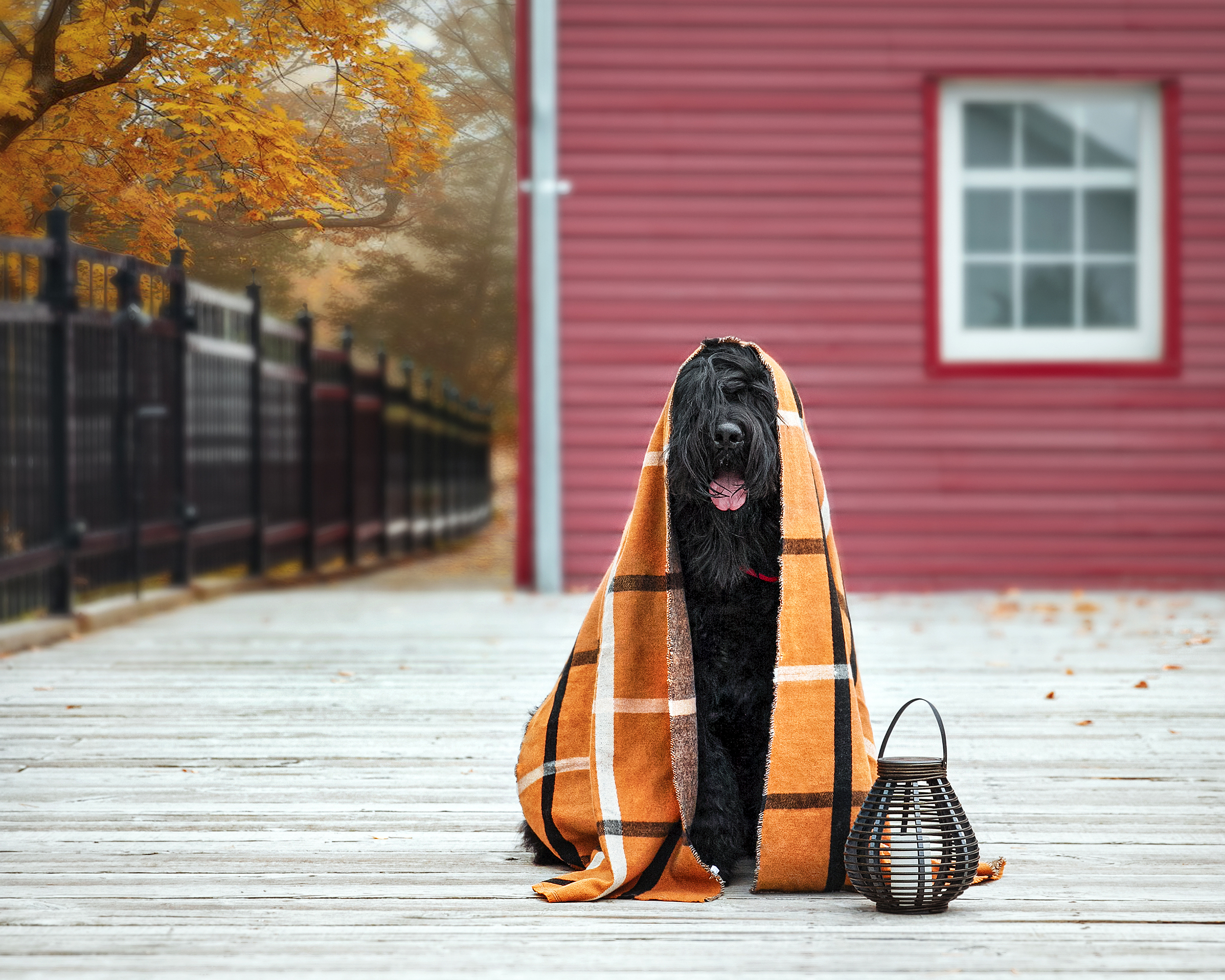 Slideshow sample 16